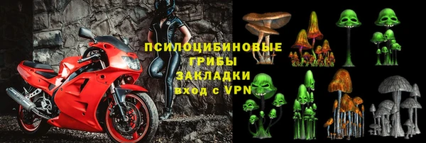 PSILOCYBIN Бугульма